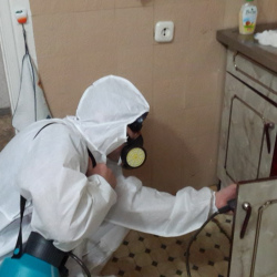 Дезинфекция от муравьев в квартире Бульвар Рокоссовского метро Москвы
