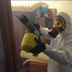 Уничтожение клопов в квартире. Бульвар Рокоссовского
