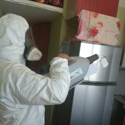 Уничтожение насекомых в квартире. Бульвар Рокоссовского